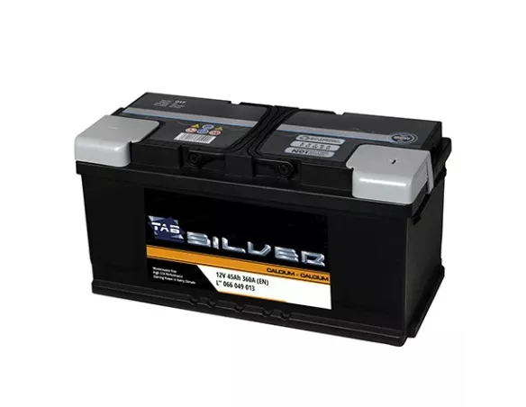 Batería Tab Silver 100Ah