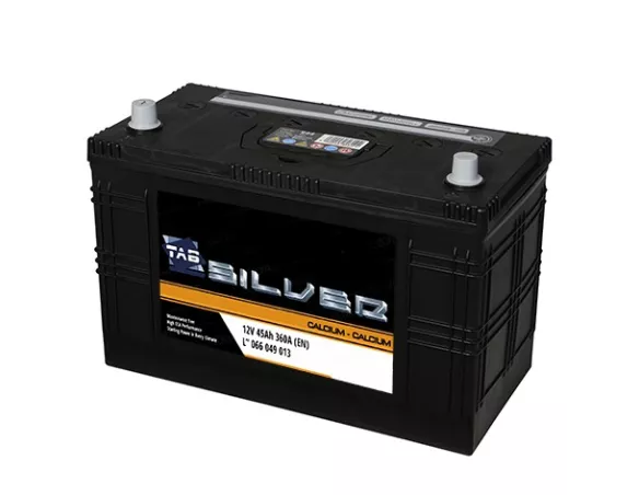 Bateria TAB silver 100Ah asiatica pos izquierda