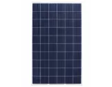 Panel Austa solar 280w Policristalino 60 celdas