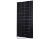 Panel solar Austa 330W 72 Celdas Policristalino